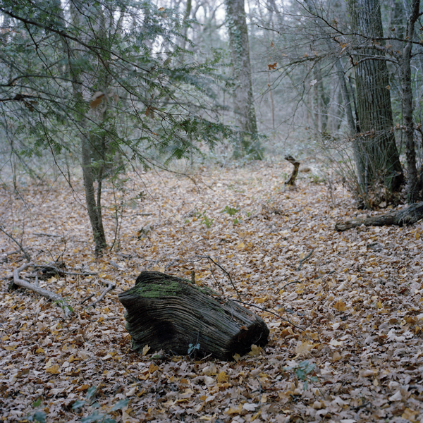 Sur le paysage / Clément Bodet