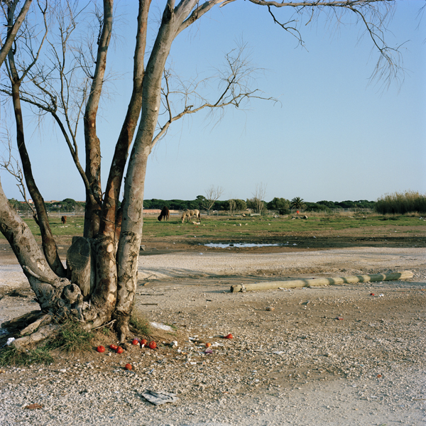 Sur le paysage / Clément Bodet