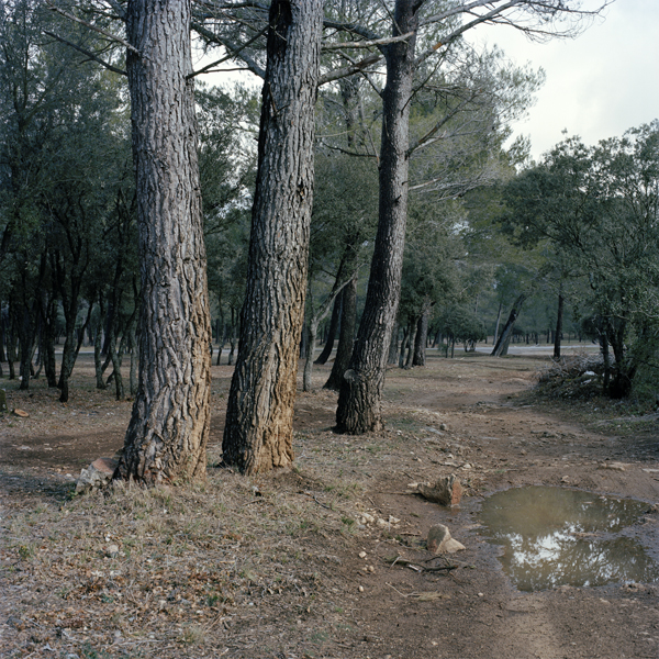 Calanques / Clément Bodet