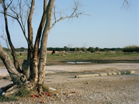 Sur le paysage / Clément Bodet