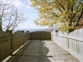 Parc du Gévaudan / Clément Bodet